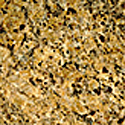 Venetian Gold